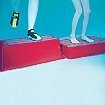 SPRINT AQUATICS � ����-��������� SPRINT AEROBIC STEP