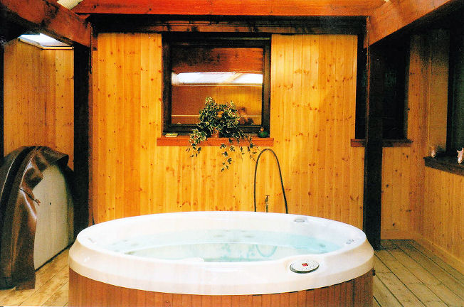 Jacuzzi J-210